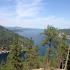 Meet your Posher, Carole